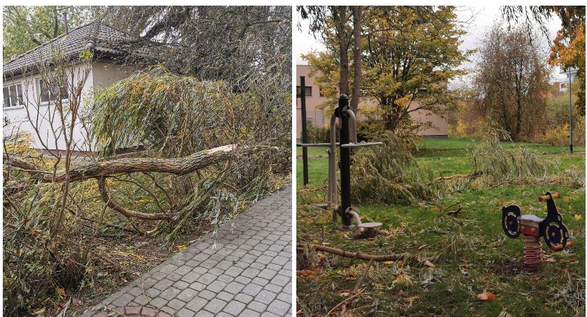 Mocno wiało w Szczecinku. Powalone drzewa, połamane gałęzie