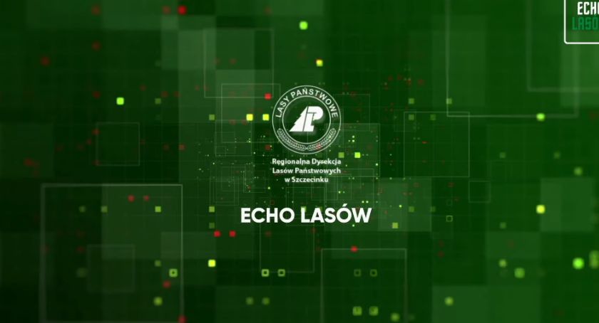 Echa Lasów. Kolejny odcinek aktualności z terenu RDLP w Szczecinku