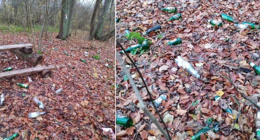 Miejsce pielgrzymek sceną dla libacji alkoholowych