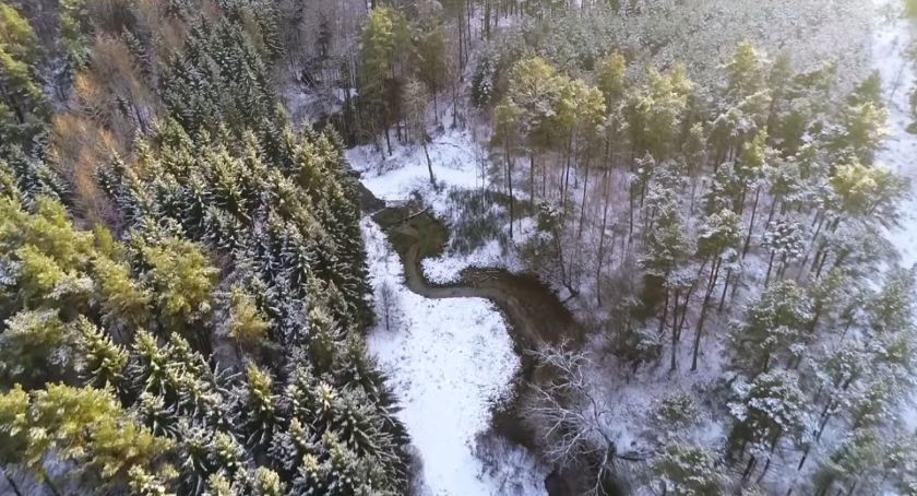 Zima w lesie. Piękne ujęcia z lotu ptaka