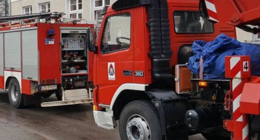Powalone drzewa, wypadki i uwięzione koty. Tygodniowy raport szczecineckich strażaków