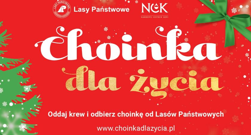 Oddaj krew, weź choinkę. Niezwykła ogólnopolska akcja