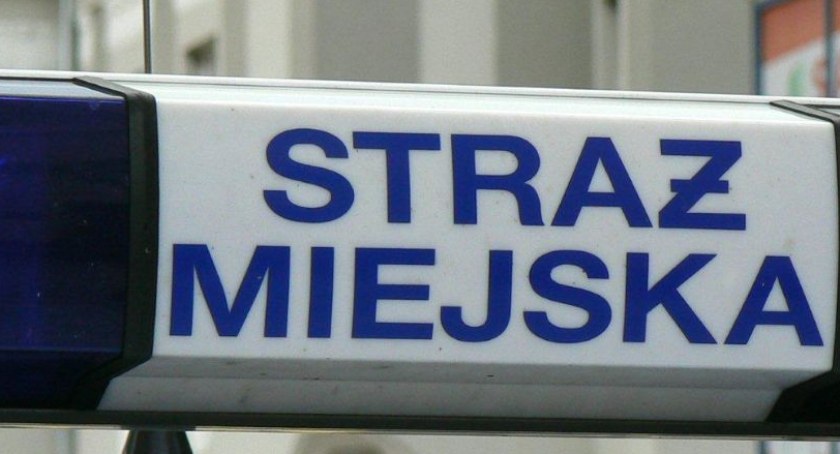 Strażnik miejski, nauczyciel, fizjoterapeuta. Nowe oferty pracy w Szczecinku