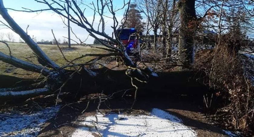 Wichura w powiecie szczecineckim. Ponad 30 interwencji strażaków