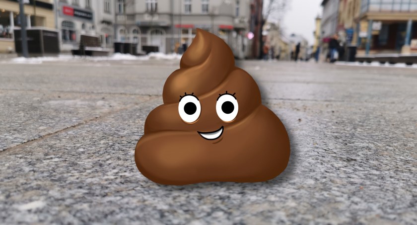 Kupa wstydu. Psie odchody na ulicach Szczecinka