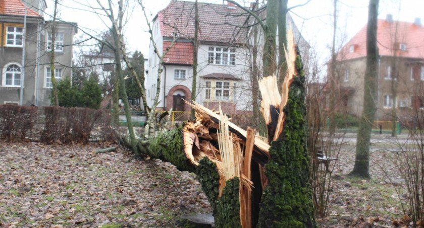Niszczycielski wiatr i burze! Powiat szczecinecki z najwyższym stopniem alertu