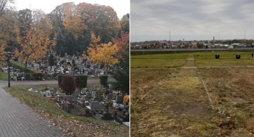 Czytelnicy o cmentarzu w Szczecinku: Drzewa są zbyteczne