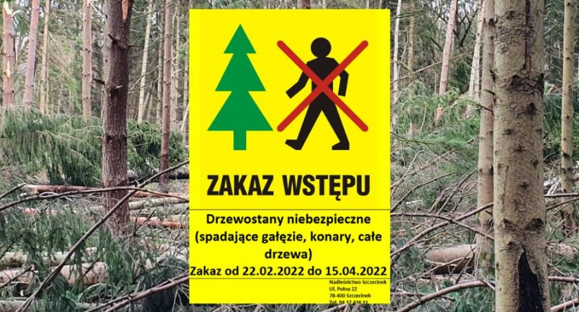 Lasy w Nadleśnictwie Szczecinek spustoszone przez wiatr. Obowiązuje zakaz wstępu
