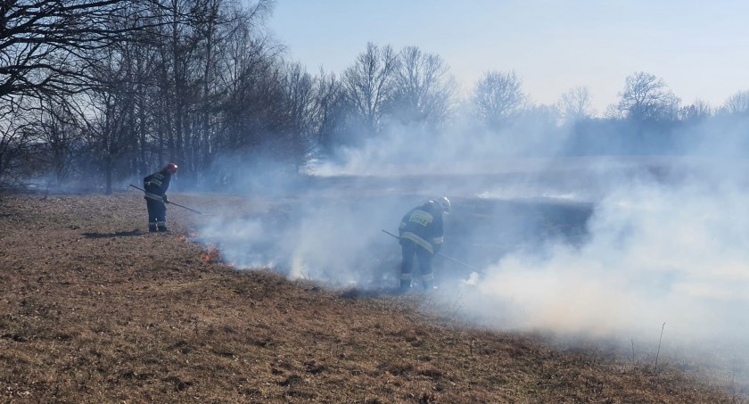W Szczecinku i powiecie plaga pożarów traw. Kary powinny być surowsze?