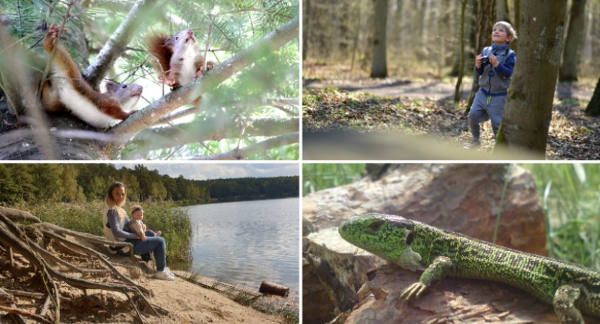 Stasiu, wiewiórki, żurawie i leśny smok. Leśnicy rozstrzygnęli konkurs fotograficzny z okazji Dnia Mamy
