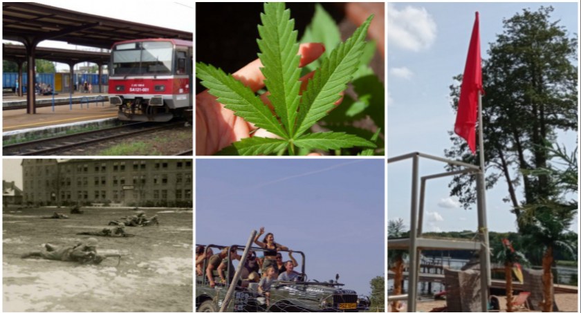 TOP 5. Najczęściej czytane artykuły tygodnia