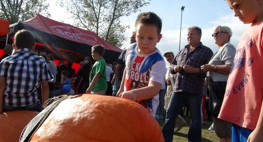 Jej Wysokość Dynia zaprasza na piknik w Radaczu