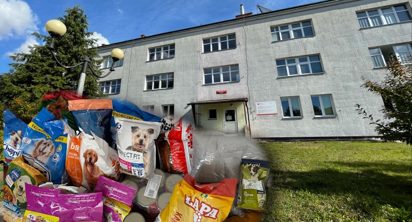 Akcja charytatywna w ZST w Szczecinku. Pomoże osobom starszym i ich czworonogom