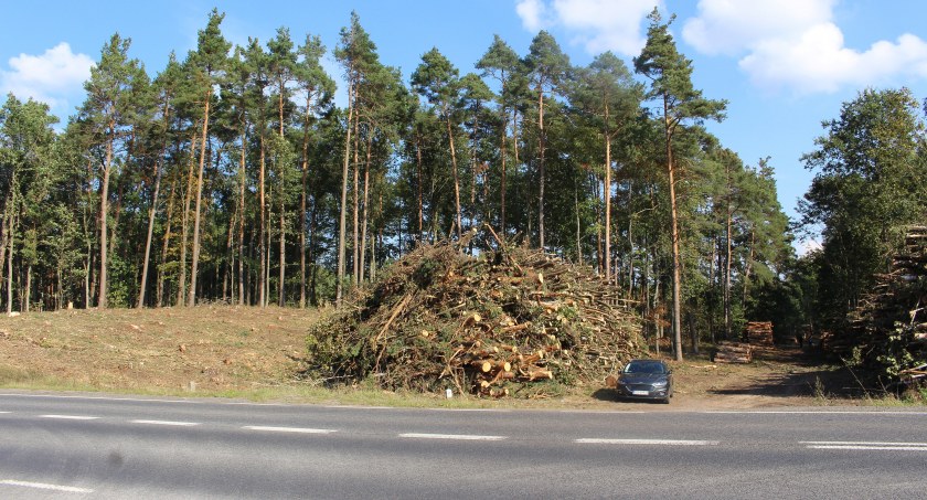 Przebiegnie przez Sitno, Miękowo i Lipnicę.  Zanim powstanie łącznik, trwa wielka wycinka 