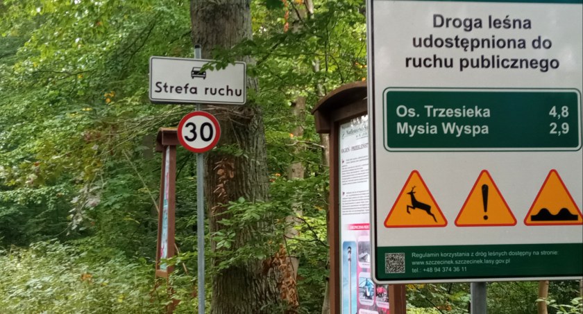 Na naszej leśnej polanie: Powiem szczerze, jechał szybko na rowerze