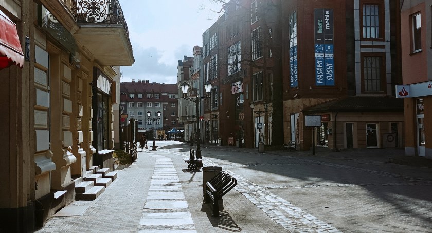 Na naszej leśnej polanie: Były stare, bo dwudziestoletnie