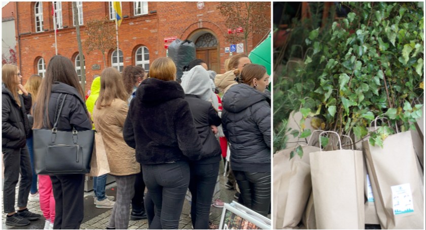 4 tysiące darmowych sadzonek dla mieszkańców. Wyjątkowa akcja na placu Wolności