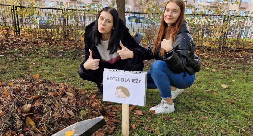 Nowe hotele w Szczecinku. Ale dla... jeży