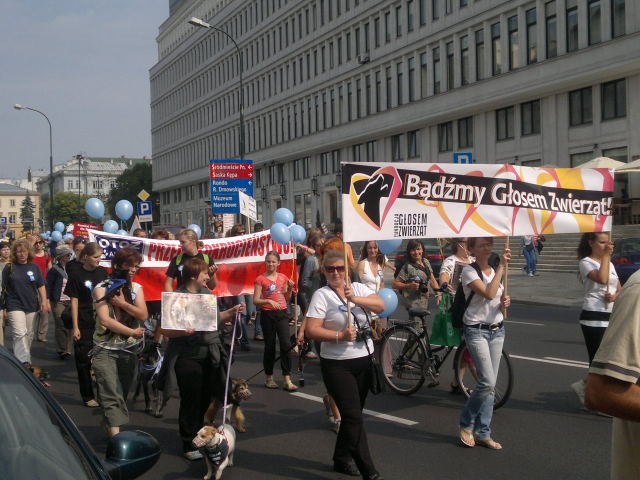 Schronisko w Szczecinku wśród najlepszych w Polsce