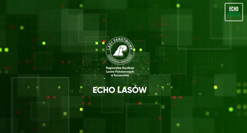 Echa Lasów, dziesiąty odcinek sezonu. O czym teraz? 