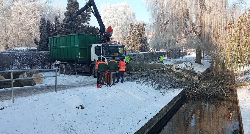 Tych wierzb nad Niezdobną już nie będzie