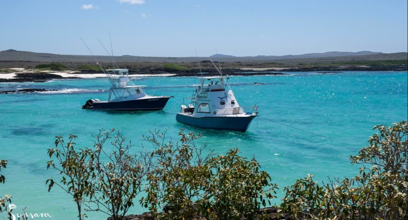 Galapagos - dlaczego nazywane są wyspami żółwimi?