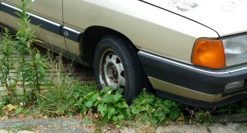 Niektórych złomów z parkingów w Szczecinku nie można zabrać