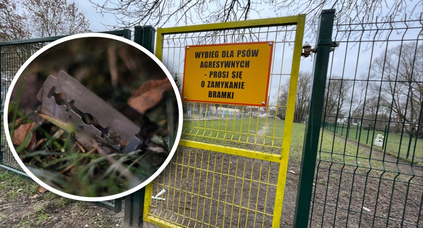 Żyletki na wybiegu dla psów. Kto to robi?