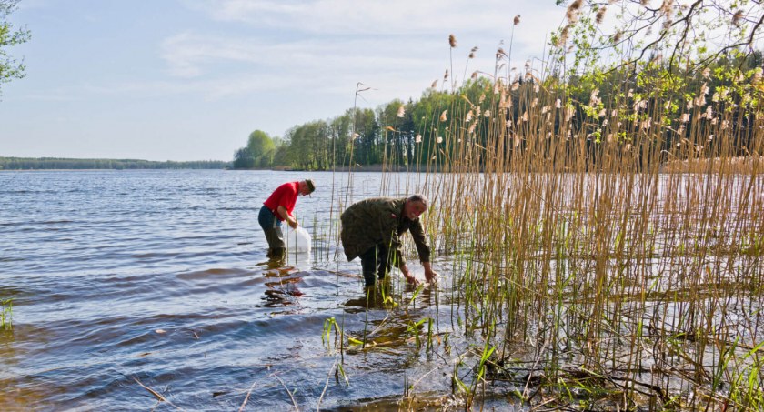 Zakaz zabijania karpi na jeziorze Lipno
