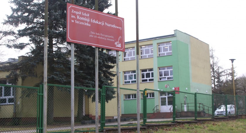 Drzewa i krzewy z roczną gwarancją. 100 tysięcy na zieleń wokół szkół