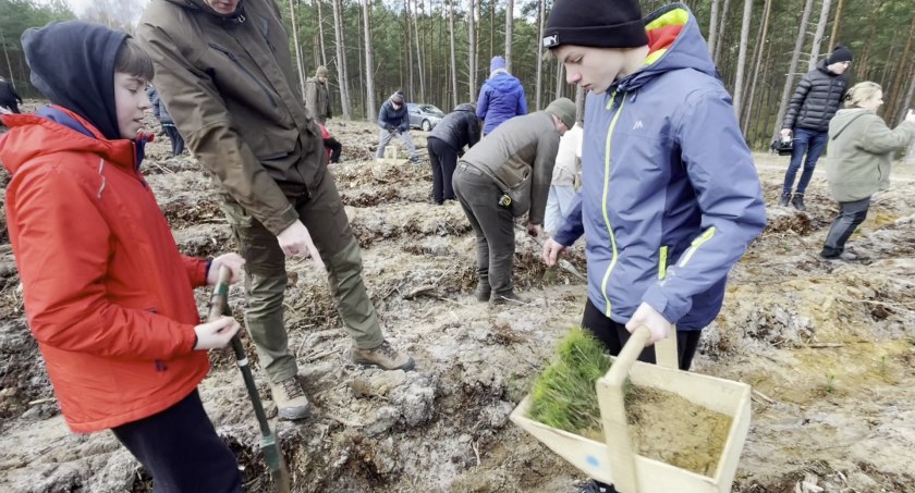 „Łączą nas drzewa”. W nadleśnictwie Czarne Człuchowskie tym razem sadzonki „papieskie”