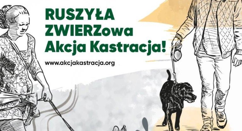 Borne: Bezpłatne zabiegi dla psów i kotów