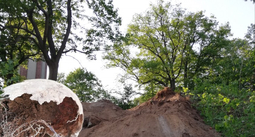 Ludzkie szczątki na górce Wodociągowej