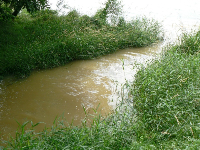 Woda koloru 
