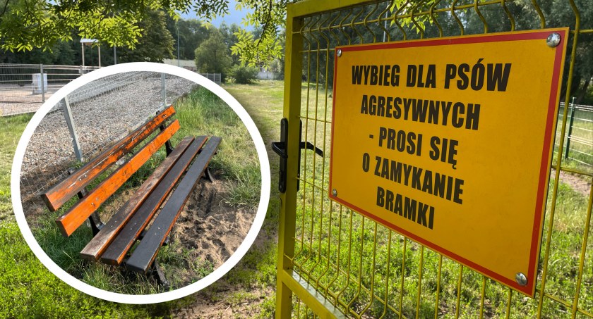 Obsmarowane ławki na wybiegu dla psów. Po co?
