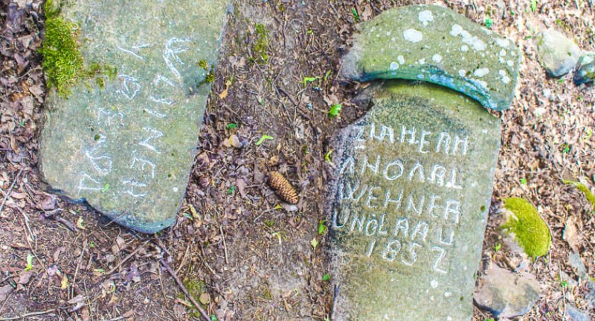 W gronie zimnych czaszek i wędrownych dowcipnisiów
