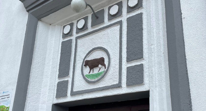 Po mleczarni w Szczecinku pozostała tylko krowa