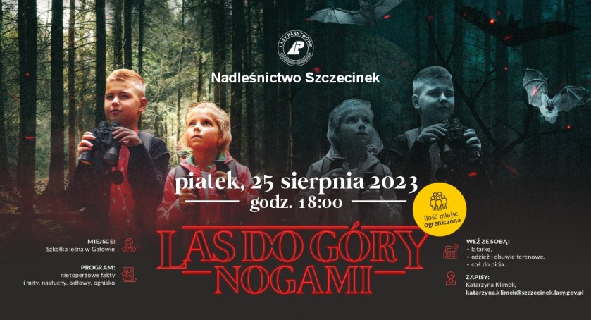 Weź latarkę i idź do lasu na spotkanie z nietoperzami!