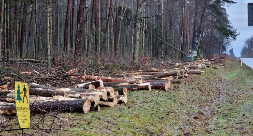 Na przyszłą S11 wchodzą saperzy