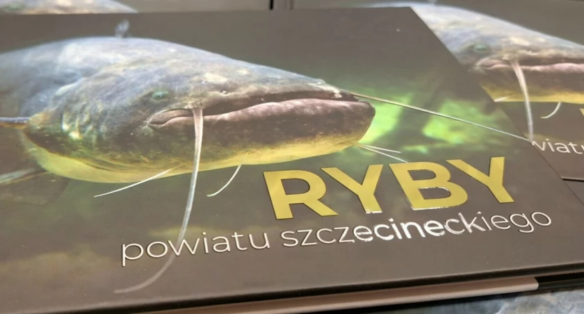 Może brzydkie, ale mają swój foto album. Pozują szczecineckie ryby