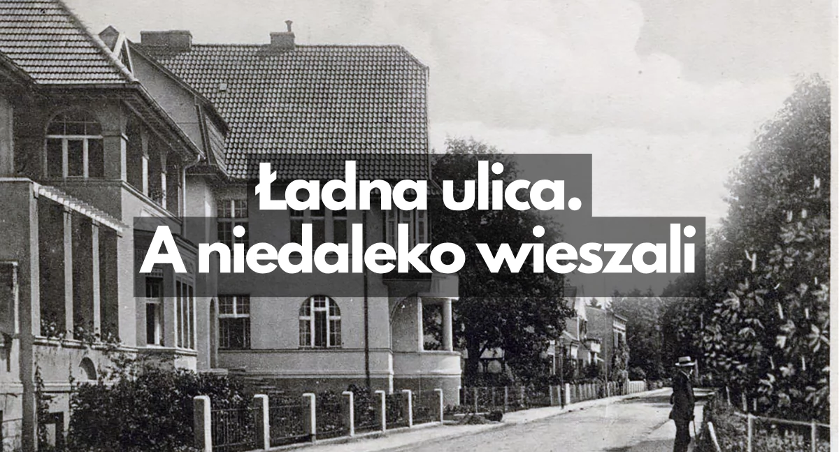 Bardzo ładna ulica. Z martwymi Polakami na drzewie