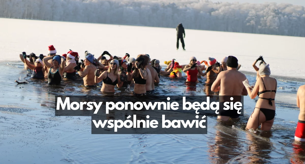 Czeka nas wielkie Morsowisko