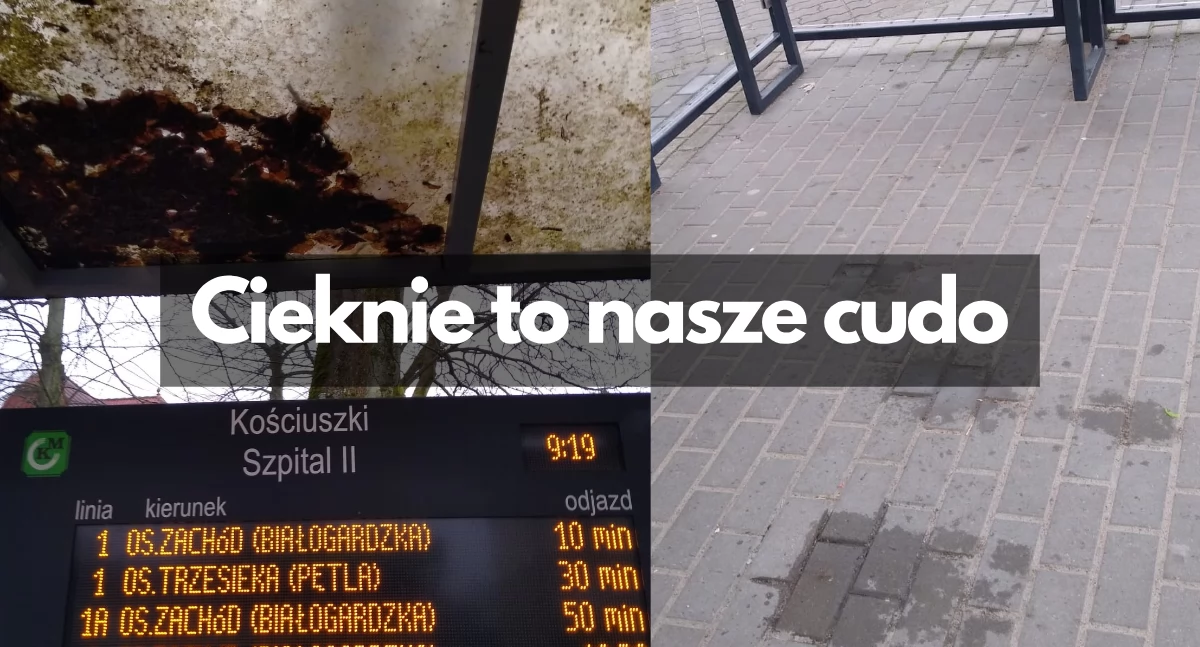 Przystanek fajny, ale leje się na głowę