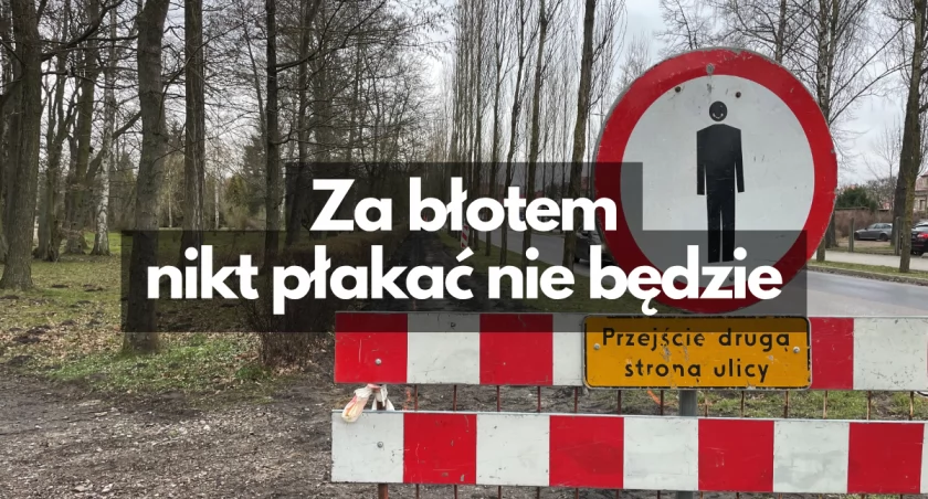 Na ul. Mickiewicza - droga rowerowa   
