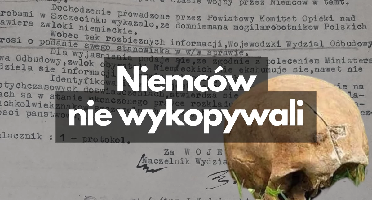 Czaszka koło bloku. Może być ich więcej