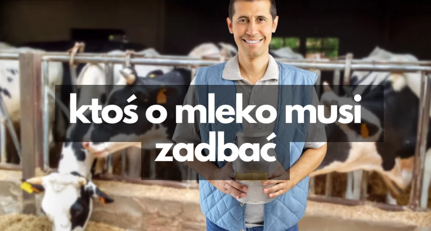 Kelner na staż, dojarz na etat. Oferty pracy w Szczecinku