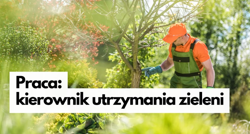 PGK zatrudni kierownika ds. utrzymania terenów zieleni