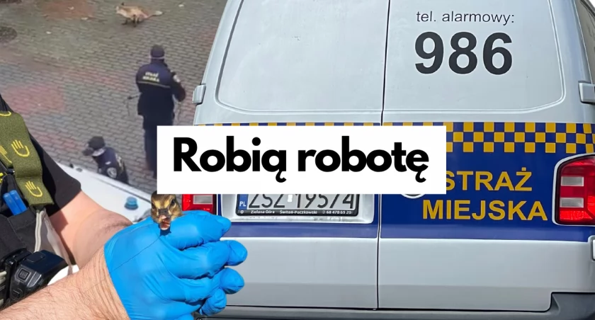 I samochód odpalą, i sąsiadów uciszą. U strażników praca wre
