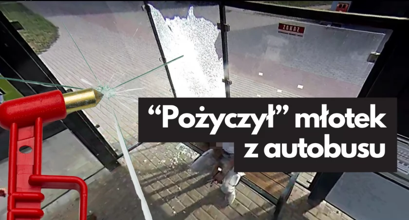 Tak działają tylko młotki (autobusowe)