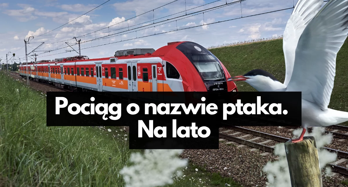 Nowy pociąg nad morze. Na lato akurat